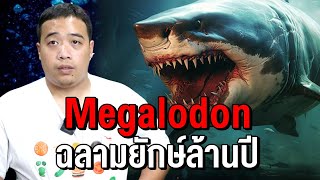 ความจริงของฉลามยักษ์ Megalodon ที่ใครหลายๆคนไม่รู้มาก่อน [upl. by Merrill]