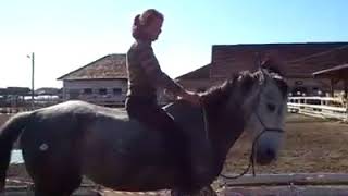 Bitless Riding  Missy Wryn Certified Gentle Bitless Horse Trainer Kinga Sebestyen [upl. by Yliak]