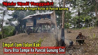 NEKAD  PASANGAN MUDA BARU MENIKAH MEMILIH TINGGAL DI GUBUK TENGAH HUTAN DI PUNCAK GUNUNG [upl. by Akinej]