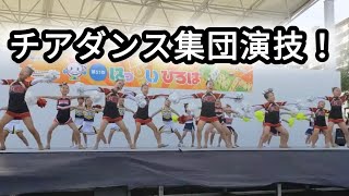 チアダンス集団演技！ 神戸まつり 2024年 パート15 [upl. by Nageem]