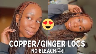 HOW TO DYE LOCS WITHOUT BLEACH  No damage and easy maintenance‼️ [upl. by Samuel662]