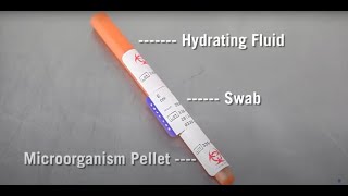 KWIK STIK™ Instructions Microbiologics Instrucciones de uso  Subtítulos en Castellano [upl. by Nimesay]