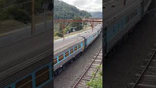 Central XPT passing by Hawkesbury river trains station shorts [upl. by Cheri104]