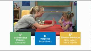 Discrete Trial Teaching  Autism Therapy Video [upl. by Ynahteb846]