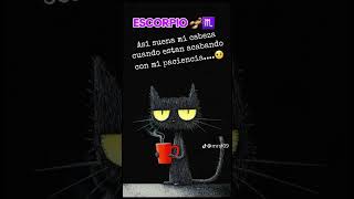 escorpion horoscopos astrologia videosdivertidos [upl. by Bea]