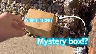 2023 ledgestone mystery box opening [upl. by Coad238]