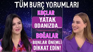 MÄ°NE Ã–LMEZ 12 BURÃ‡ YORUMU KOÃ‡LAR YATAK ODANIZDA BOÄALAR BUNLAR Ã‡OK Ã–NEMLÄ° DÄ°KKAT EDÄ°N [upl. by Annhoj]