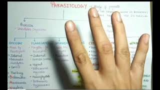 parasitology lecture notes viralvideo medical microbiology medicallabsciences7817 [upl. by Zeuqram]