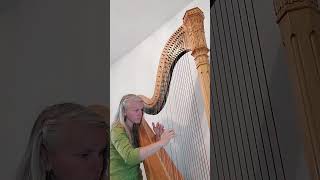 Extrait de Riverside dAgnès Obel harp [upl. by Ahtivak]