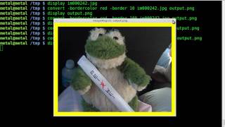 Imagemagick  Image Border  Tutorial  BASH  Linux [upl. by Petras33]