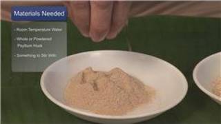 Cleansing Naturally  How to Cleanse a Colon with Psyllium Husk [upl. by Ramat374]