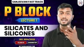 CHEMISTRY P BLOCK CLASS 11  SILICATES AND SILICONES  JEE SANJEEVANI FASTTRACK  BY SUDHANSHU SIR [upl. by Janella]