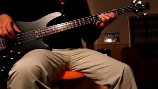 Nelly and Kelly Dilemma bass cover [upl. by Delsman]