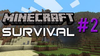 Minecraft Survival 2 What The Hell Was That [upl. by Yrrot941]