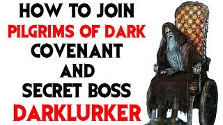 Dark Souls 2 How to Join Pilgrims of Dark Covenant and Find Secret Darklurker Boss [upl. by Sheffie]