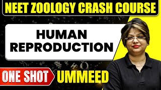 HUMAN REPRODUCTION in 1 Shot All Concepts Tricks amp PYQs  NEET Crash Course  Ummeed [upl. by Inobe]