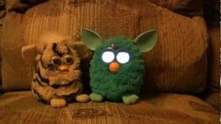 Old Furby meets new 2012 Furby lots to say [upl. by Allister]