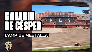 ASÍ HA SIDO LA PUESTA A PUNTO DEL CAMP DE MESTALLA DURANTE EL VERANO  VALENCIA CF [upl. by Finnie]