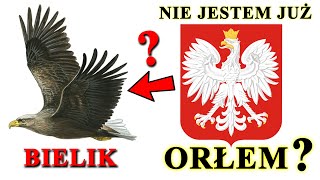 Jaki PTAK widnieje w Godle Polski i dlaczego nie jest już orłem [upl. by Rannug435]