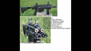 GILBOA SNAKE AR 15 DUAL BARREL FACT SHEET [upl. by Caryl449]