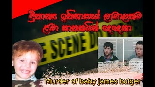 murdered by 10 years boys jemes bulgers storyලාබාලතම ඝාතකයින්අවුරුදු 10යි [upl. by Muns]