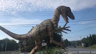 Roadside Attractions Near Lake George NY [upl. by Fisher35]