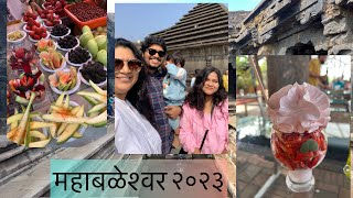 VLOG 16 Mahabaleshwar  familyvlog strawberry fresh cream [upl. by Branen852]