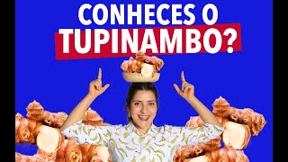 CONHECES O TUPINAMBO [upl. by Ermanno484]