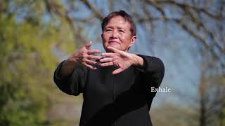 Qigong Full 20Minute Daily Routine [upl. by Jamilla]