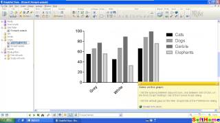 Tutorial for  GraphPad Grouped graph spacing 教學 [upl. by Ihana]