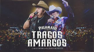 Eliseo Robles Ft Lalo Mora  Palomazo Norteño  Tragos Amargos  Video Oficial [upl. by Auqenehs]