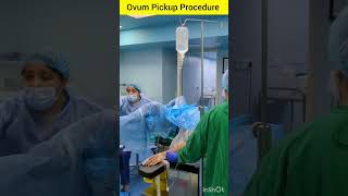 Ovum Pickup procedure in IVF ivf ivfprocedure ivfprocess ivftreatment infertility dailyshorts [upl. by Alia]