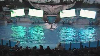 Believe 2008  Part 3  Tilikum amp Taima [upl. by Imoyn448]