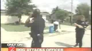 Aggressive Dog Tasered By Cop [upl. by Sergu637]