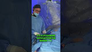 FARAWAVE Pulsed Field Ablation [upl. by Anelak495]