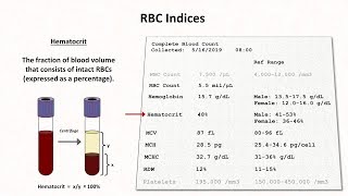 How to Interpret RBC Indices eg hemoglobin vs hematocrit MCV RDW [upl. by Schnapp]