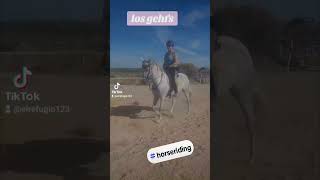 Reiten reiten reiten costablanca hipica feelgood mustdo fyp riding campo montaracaballo [upl. by Gayler]