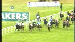 1996  Newmarket  Cesarewitch Handicap  Inchcailloch [upl. by Euseibbob527]