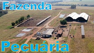 FAZENDA MODELO PARA PECUÁRIA  TODA ESTRUTURADA  Cod FA00184 [upl. by Neomah]