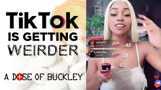 PinkyDoll amp the TikTok NPC Trend  A Dose of Buckley [upl. by Aiahc]