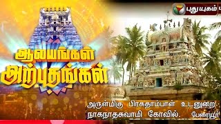 Naganathaswami Temple Peraiyur  Aalayangal Arputhangal  17032016  Puthuyugam TV [upl. by Fleeta]