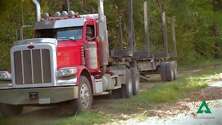 Weyerhaeuser Lumber Mill Tour in Magnolia Mississippi [upl. by Annadiana]