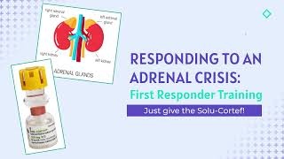 Responding to an Adrenal Crisis amp SoluCortef Injection Training  First Responder Training Video [upl. by Mairim]