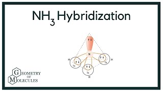 Hybridization of NH3 Ammonia [upl. by Schouten]