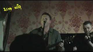 Damien Dempsey  Celtic Tiger [upl. by Newel]