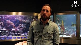 Hinter Glas  Der Fisch im Aquarium GreenScreen JugendFilmcamp 2016 mit Robert Marc Lehmann [upl. by Pappas]