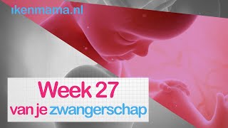 27 weken zwanger  ikenmamanl [upl. by Llebyram470]