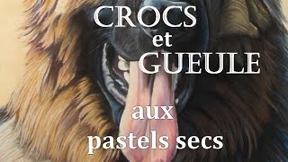 Peindre des Crocs de chien Pastels secs [upl. by Reames]