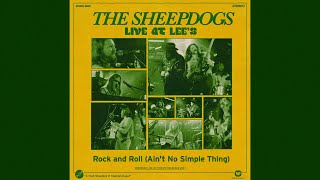 The Sheepdogs  Rock and Roll Aint No Simple Thing  Live at Lees Visualizer [upl. by Lebiram]