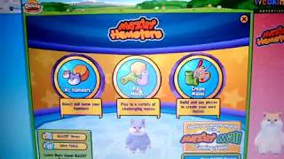 Playing Mazin Hamsters in Webkinz World [upl. by Ettenyl]